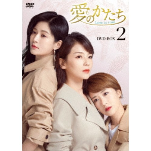 愛のかたち〜Love is true〜 DVD-BOX2 【DVD】