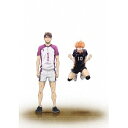 劇場版総集編 白鳥沢学園高校戦 『ハイキュー!! コンセプトの戦い』 【DVD】