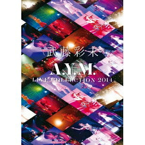 武藤彩未／A.Y.M. Live Collection 2014 〜進化〜 【DVD】