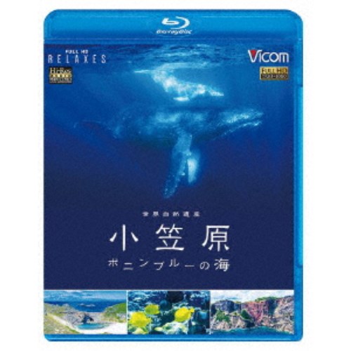 世界自然遺産 小笠原 〜ボニンブルーの海〜 【Blu-ray】