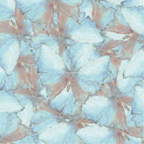 【8/25限定! 2000円OFFクーポン!!】yeti let you notice/hontounokoto 【CD】