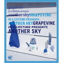 GRAPEVINE/in a lifetime presents another sky 【Blu-ray】
