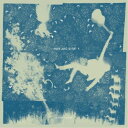 IRON & WINE/LIGHT VERSE 【CD】