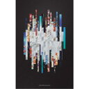 【6/4 20時〜 全品P5倍 & 最大1000円OFFクーポン】V6/LIVE TOUR V6 groove《B盤》 (初回限定) 【DVD】