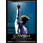 SE7EN 2012 CONCERT IN JAPAN SE7EN THE BEST DVD