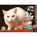 スペシャルドラマ「猫侍 玉之丞、江戸へ行く」 【DVD】