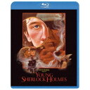 【7/18限定! 楽天会員なら最大P4倍】ヤング・シャーロック ピラミッドの謎 【Blu-ray】