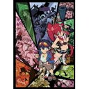 グレンラガン パラレルワークス2 (初回限定) 【DVD】