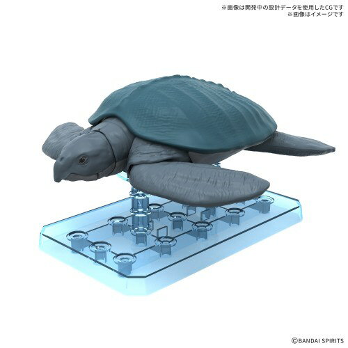 広告画像