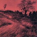ザ・ディランII/きのうの思い出に別れをつげるんだもの 【CD】