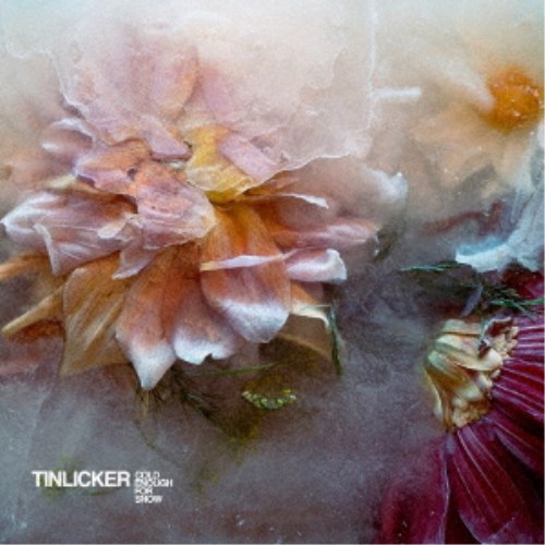 TINLICKER／COLD ENOUGH FOR SNOW 【CD】