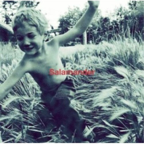 ELLEGARDEN／Salamander 【CD】