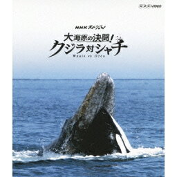 NHKスペシャル 大海原の決闘！ クジラ対シャチ 【Blu-ray】