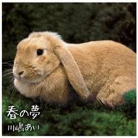 川嶋あい／春の夢 【CD】