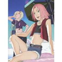 NARUTO-ナルト- 疾風伝 船上のパラダイスライフ 1 【DVD】