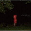 【8/1限定! 最大P6倍 & 最大2000円OFFクーポン!!】Jun Kawabata/Invisible Golden Flower 【CD】