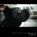 【〜7/15 エントリー&5000円以上購入でP最大5倍】(オムニバス)/鎮魂楽 〜a song for the last〜 【CD】