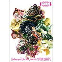 RELIEVE YOUR ’BLUE SCAR’ 2008.8.21 SHIBUYA-AX 【DVD】