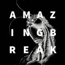 TERRASPEX/AMAZING BREAK 【CD】