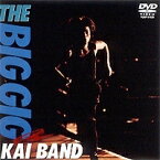 甲斐バンド／THE BIG GIG (期間限定) 【DVD】