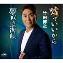 竹田博之/嘘でいいから/夢咲き海峡 【CD】