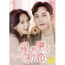 星が繋ぐ初恋〜Here We Meet Again〜 DVD-BOX1 【DVD】