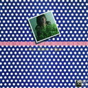 【6/22~27 早い者勝ち!! 最大1000円OFFクーポン】アン・バートン/サム・アザー・スプリング 【CD】