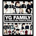 YG FAMILY／YG FAMILY 2014 WORLD TOUR：POWER IN JAPAN 