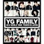 YG FAMILY／YG FAMILY 2014 WORLD TOUR：POWER IN JAPAN 【Blu-ray】