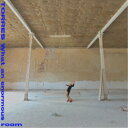 TORRES/What an enormous room 【CD】