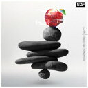 STEREO DIVE FOUNDATION/ALPHA 【CD】