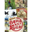 日本列島生きもの超伝説 劇場版 ダーウィンが来た! 【DVD】