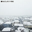 PIZZICATO ONE/わたくしの二十世紀 【CD】