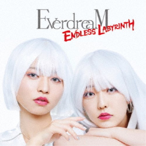 【11/25限定! 最大1000円OFFクーポン】EverdreaM／ENDLESS LABYRINTH 【CD+DVD】