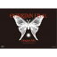 Dragon Ash25th ANNIV. TOUR 2223 ENTERTAIN FINAL̾ס DVD