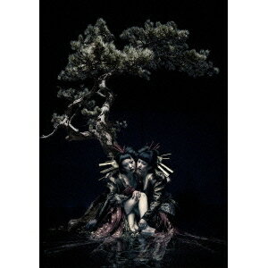 the GazettE LIVE TOUR 12-13 【DIVISION】 FINAL MELT LIVE AT 03.10 SAITAMA SUPER ARENA 【DVD】