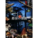 ホットスポット 最後の楽園 DVD-BOX 【DVD】