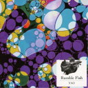 松本YAO善行/Rumble Fish 【CD】