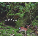 DAISHI DANCE/the ジブリ set 【CD】
