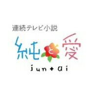 連続テレビ小説 純と愛 総集編 【DVD】