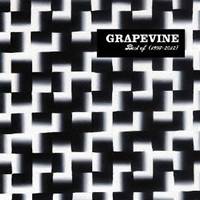 GRAPEVINE／Best of (1997-2012) 【CD】