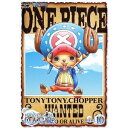 ONE PIECE s[X 15THV[Y l PIECE.10 yDVDz