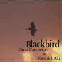 ジャコ・パストリアス〜ラシッド・アリ/ブラックバーズ (期間限定) 【CD】