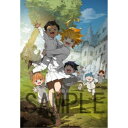 約束のネバーランド VOL.1《完全生産限定版》 (初回限定) 【DVD】