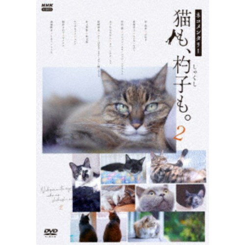 ネコメンタリー 猫も、杓子も。2 【DVD】