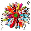 コブクロ/今、咲き誇る花たちよ 【CD】