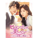 ヒョンジェは美しい〜ボクが結婚する理由(わけ)〜 DVD-BOX1 【DVD】