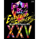 B’z LIVE-GYM Pleasure 2013 ENDLESS SUMMER -XXV BEST- 【Blu-ray】