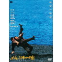 【~7/31 エントリー&5000円以上購入でP最大5倍】蜘蛛の瞳 【DVD】