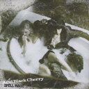 Acid Black Cherry／SPELL MAGIC 【CD】